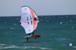 20230409-MArende-wing-020.jpg