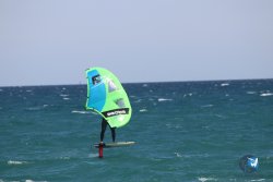 20230409-MArende-wing-022.jpg