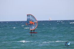 20230409-MArende-wing-023.jpg