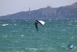 20230409-MArende-wing-025.jpg