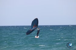 20230409-MArende-wing-027.jpg