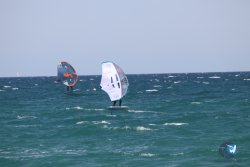 20230409-MArende-wing-028.jpg