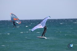 20230409-MArende-wing-030.jpg
