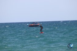 20230409-MArende-wing-031.jpg