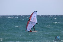 20230409-MArende-wing-038.jpg