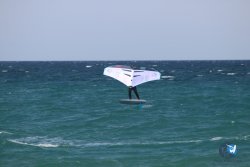 20230409-MArende-wing-042.jpg