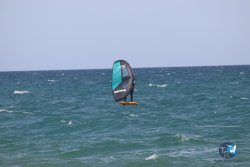 20230409-MArende-wing-043.jpg