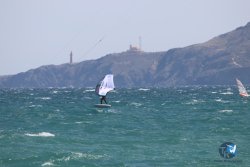 20230409-MArende-wing-044.jpg