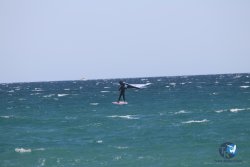 20230409-MArende-wing-045.jpg
