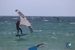 20230409-MArende-wing-053.jpg