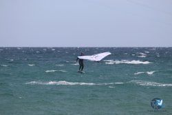 20230409-MArende-wing-055.jpg