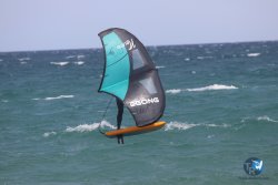 20230409-MArende-wing-057.jpg