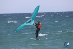 20230409-MArende-wing-058.jpg
