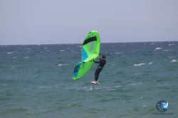 20230409-MArende-wing-060.jpg