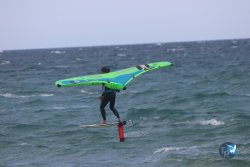 20230409-MArende-wing-061.jpg