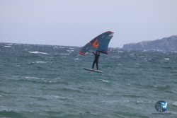 20230409-MArende-wing-062.jpg