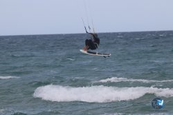 20230409-MArende-wing-064.jpg