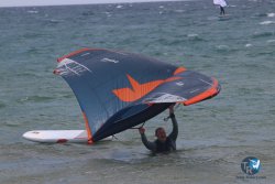 20230409-MArende-wing-065.jpg