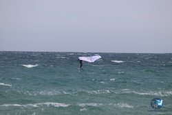 20230409-MArende-wing-068.jpg