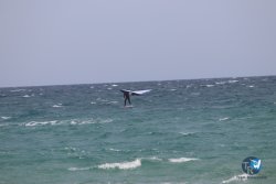 20230409-MArende-wing-072.jpg