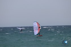20230409-MArende-wing-073.jpg