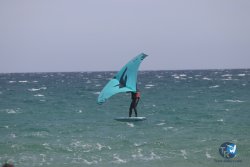 20230409-MArende-wing-075.jpg