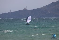 20230409-MArende-wing-076.jpg