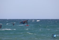 20230409-MArende-wing-077.jpg