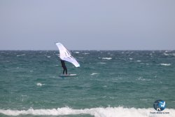 20230409-MArende-wing-078.jpg