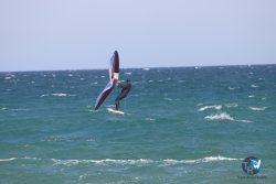 20230409-MArende-wing-083.jpg