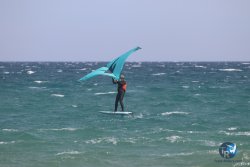 20230409-MArende-wing-084.jpg
