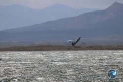 20230415-eole-tempete-113.jpg
