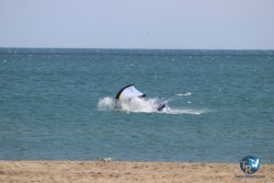 20230507-Franqui-003.jpg