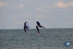 20230507-Franqui-079.jpg