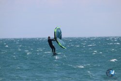 20230514-Franqui-004.jpg