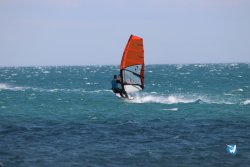 20230514-Franqui-011.jpg