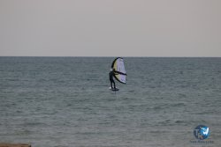 20230518-Franqui-002.jpg