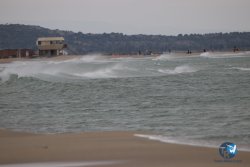 20230518-Franqui-031.jpg