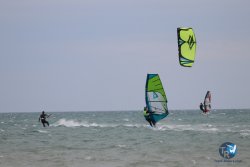 20230518-Franqui-103.jpg