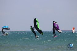 20230520-franqui-wing-126.jpg