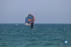20230527-wing-marende-005.jpg