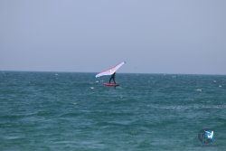 20230527-wing-marende-012.jpg