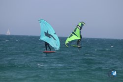 20230527-wing-marende-035.jpg