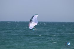 20230527-wing-marende-041.jpg