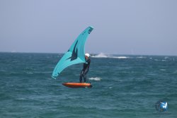 20230527-wing-marende-056.jpg