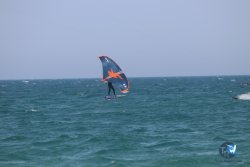 20230527-wing-marende-058.jpg