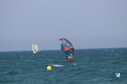 20230527-wing-marende-062.jpg