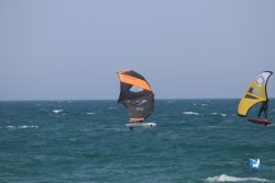 20230527-wing-marende-065.jpg