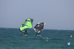 20230527-wing-marende-071.jpg