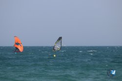20230527-wing-marende-075.jpg